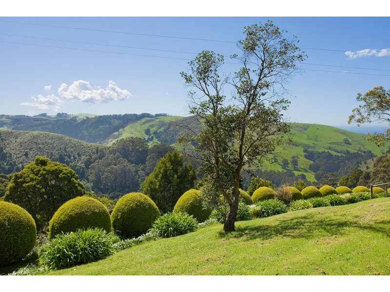 355  Killala Road, Apollo Bay VIC 3233