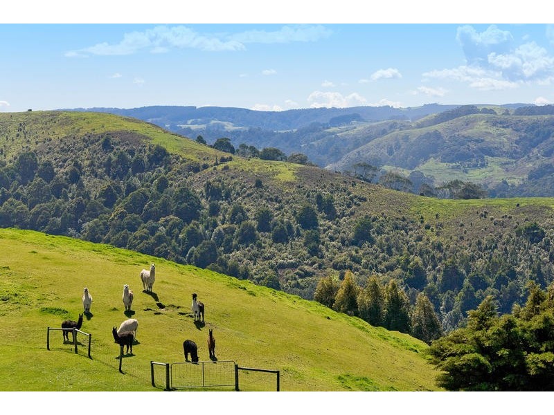 355  Killala Road, Apollo Bay VIC 3233