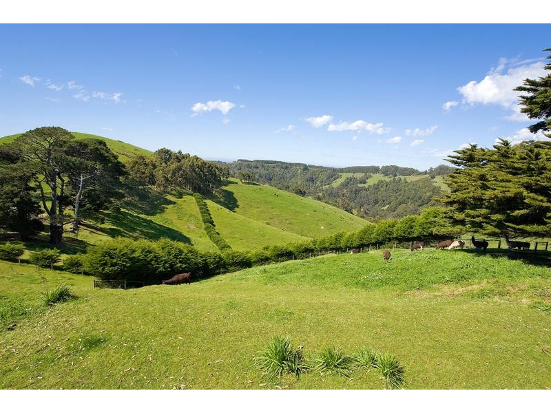 355  Killala Road, Apollo Bay VIC 3233