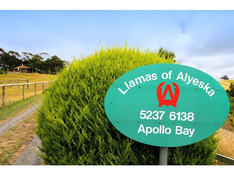 355  Killala Road, Apollo Bay VIC 3233