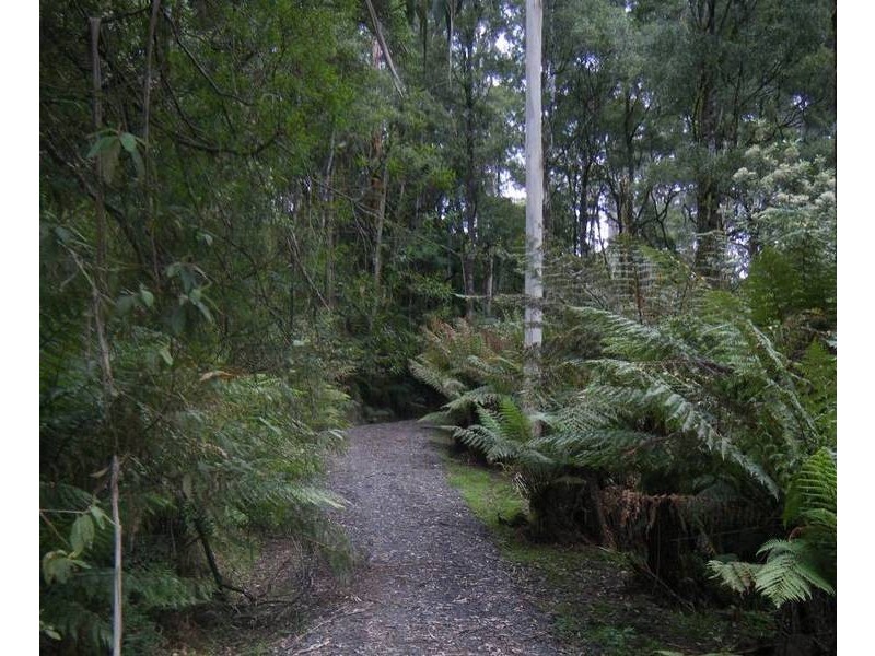 1060 Barham River Road, Apollo Bay VIC 3233