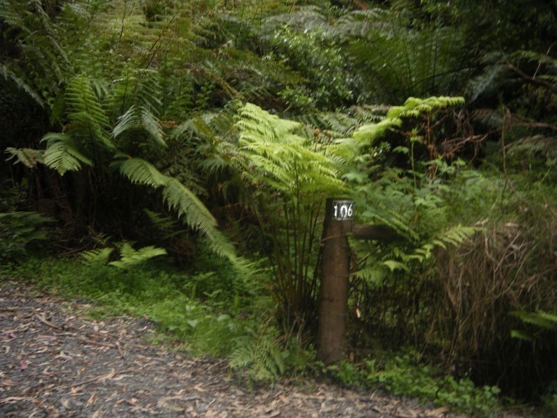 1060 Barham River Road, Apollo Bay VIC 3233