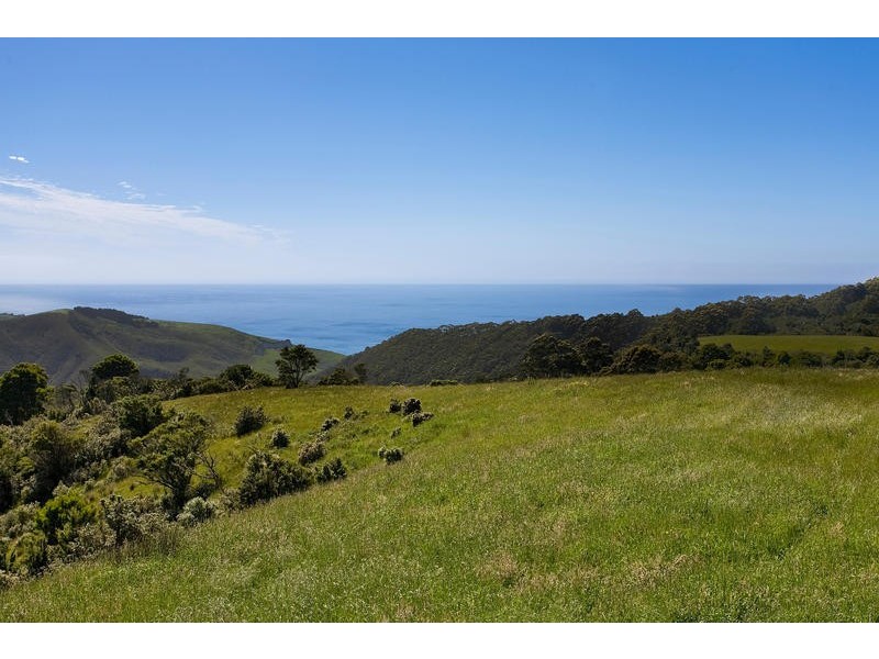 500 Tuxion Road, Apollo Bay VIC 3233