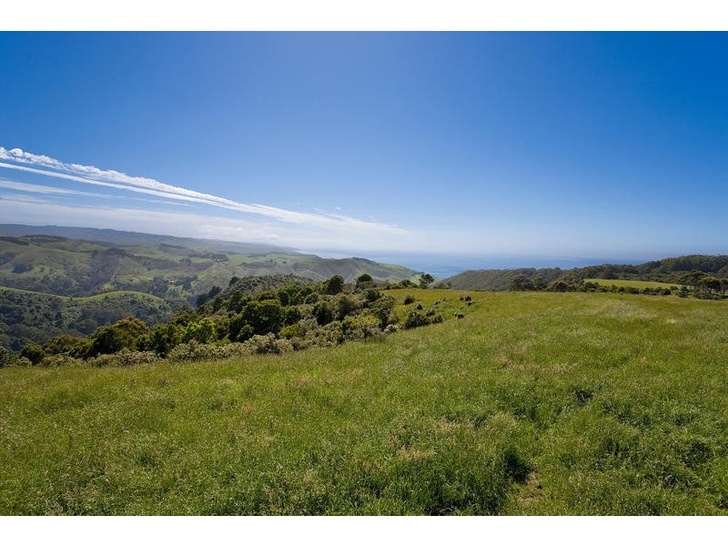 500 Tuxion Road, Apollo Bay VIC 3233