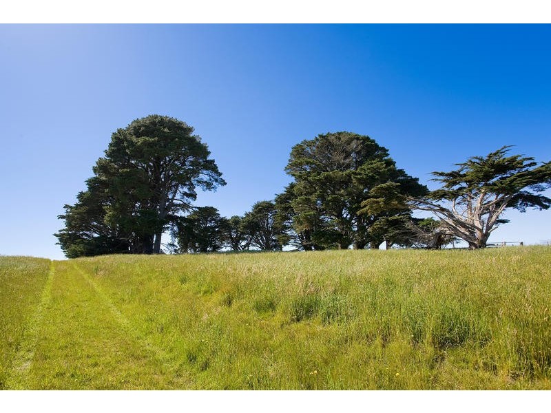 500 Tuxion Road, Apollo Bay VIC 3233