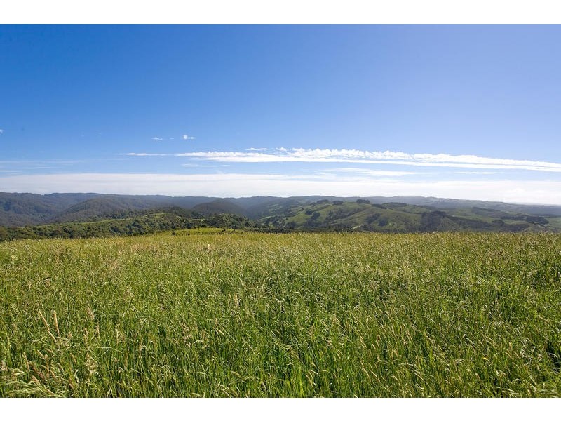 500 Tuxion Road, Apollo Bay VIC 3233