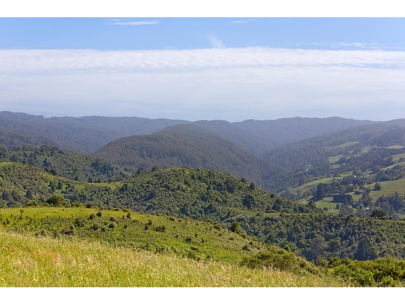 500 Tuxion Road, Apollo Bay VIC 3233