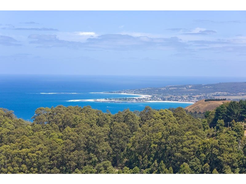 540 Skenes Creek Road, Apollo Bay VIC 3233