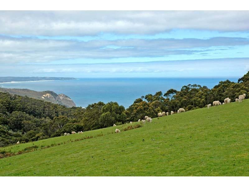 5915 Great Ocean Road, Johanna VIC 3238