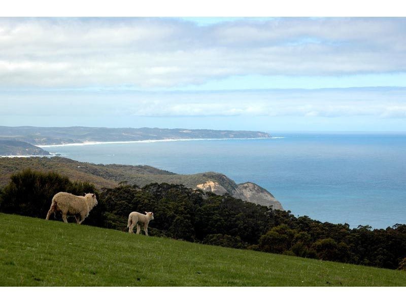 5915 Great Ocean Road, Johanna VIC 3238