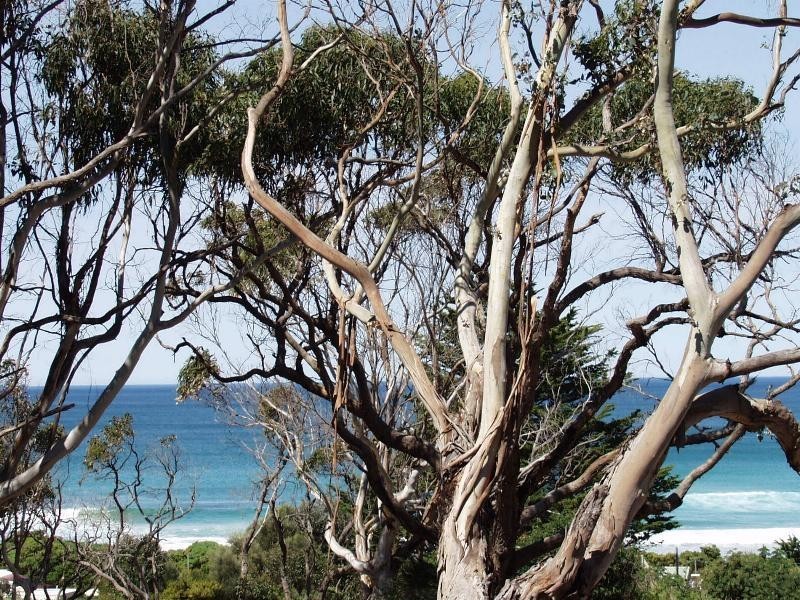 10 Treetops Terrace, Skenes Creek VIC 3233