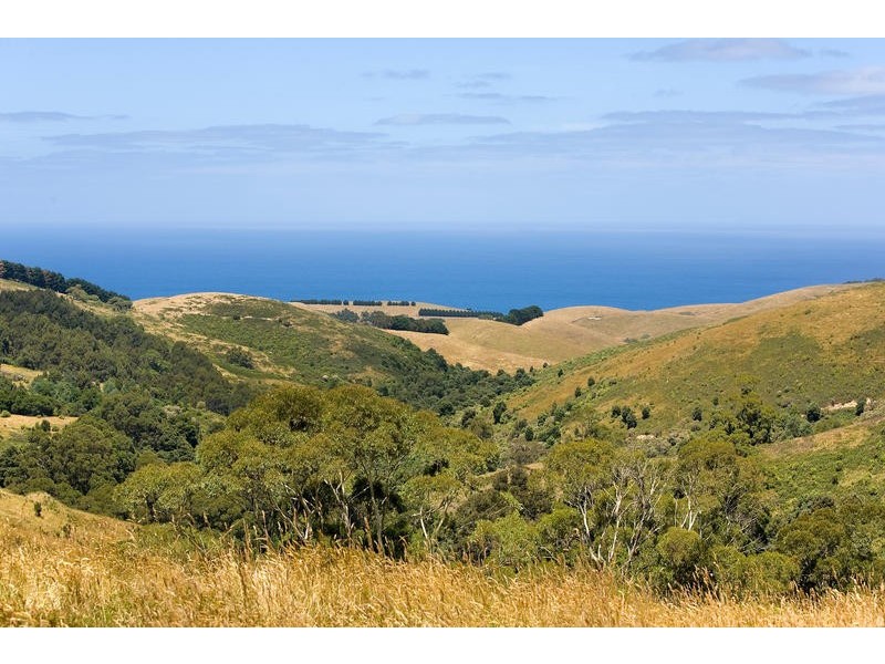 20 Biddles Road, Apollo Bay VIC 3233