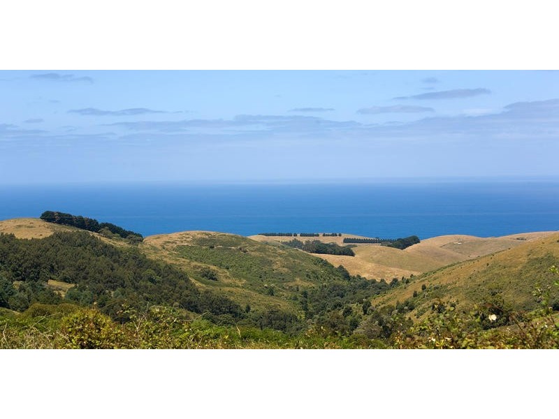 20 Biddles Road, Apollo Bay VIC 3233