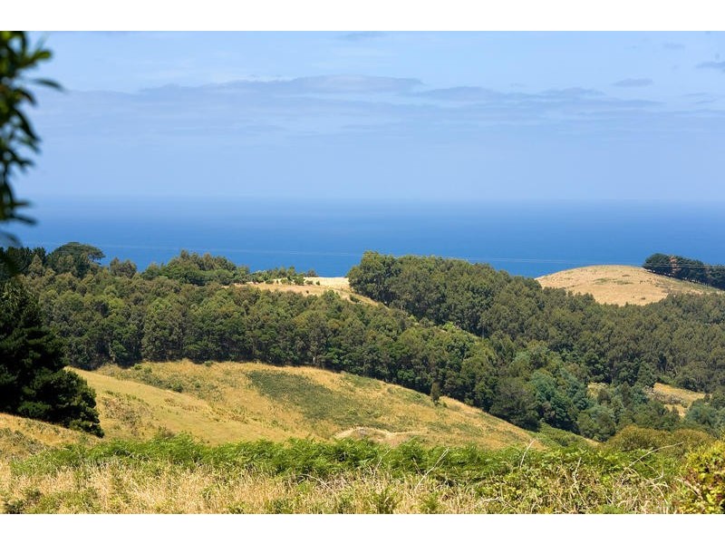 20 Biddles Road, Apollo Bay VIC 3233