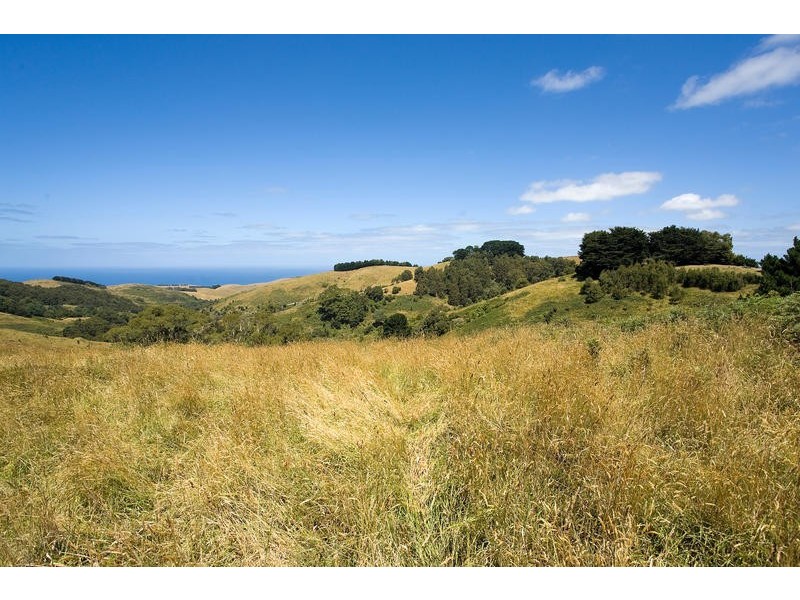 20 Biddles Road, Apollo Bay VIC 3233