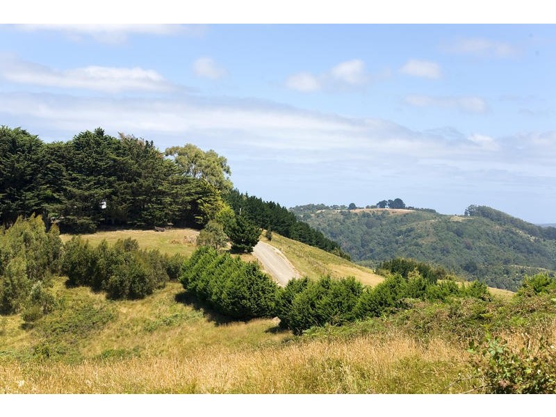 20 Biddles Road, Apollo Bay VIC 3233