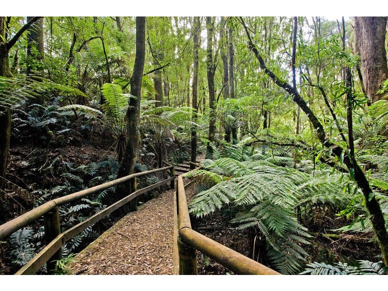 1-15 Great Ocean Road, Lavers Hill VIC 3238