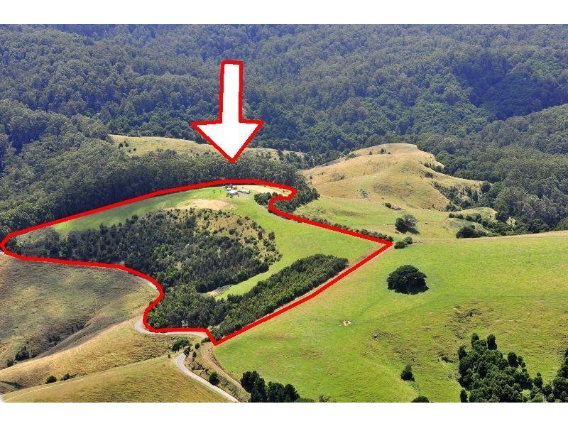 625 Sunnyside Road, Apollo Bay VIC 3233