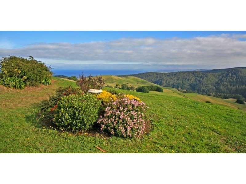 625 Sunnyside Road, Apollo Bay VIC 3233