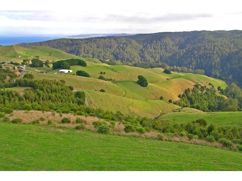 625 Sunnyside Road, Apollo Bay VIC 3233