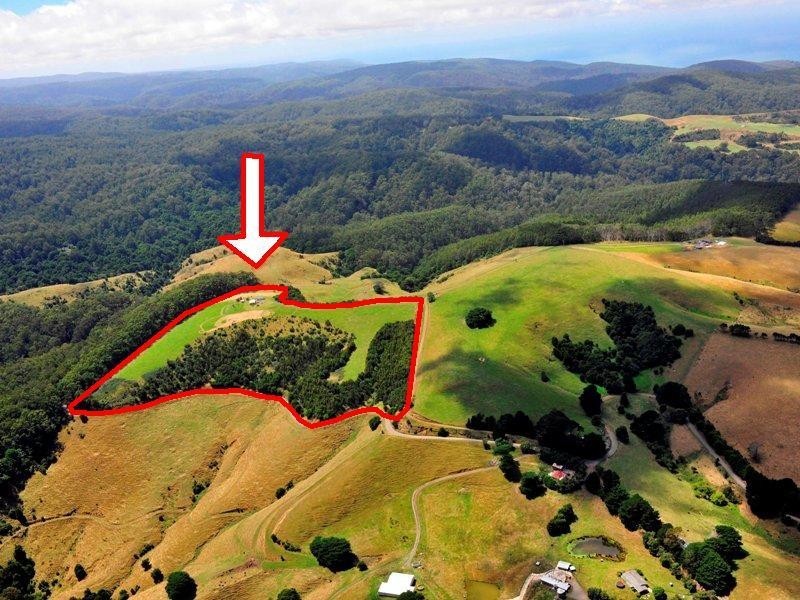 625 Sunnyside Road, Apollo Bay VIC 3233