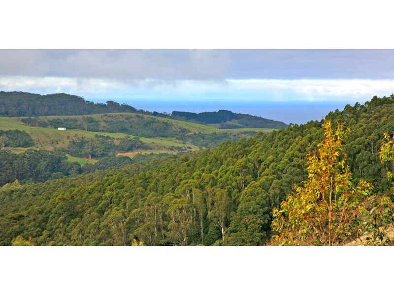 625 Sunnyside Road, Apollo Bay VIC 3233