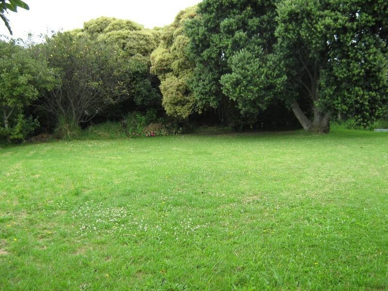 15 Whelan Street, Apollo Bay VIC 3233