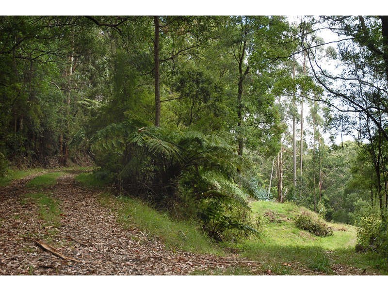80 Old Hordernvale Access Road, Apollo Bay VIC 3233