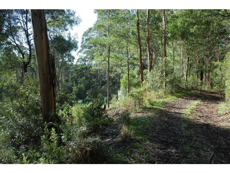 80 Old Hordernvale Access Road, Apollo Bay VIC 3233
