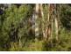 80 Old Hordernvale Access Road, Apollo Bay VIC 3233