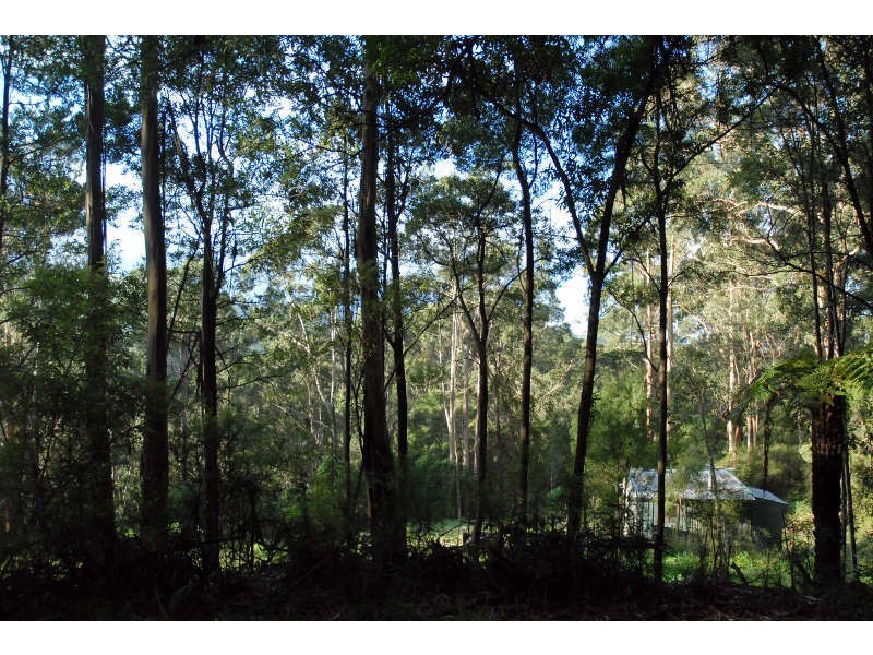 80 Old Hordernvale Access Road, Apollo Bay VIC 3233