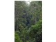 80 Old Hordernvale Access Road, Apollo Bay VIC 3233