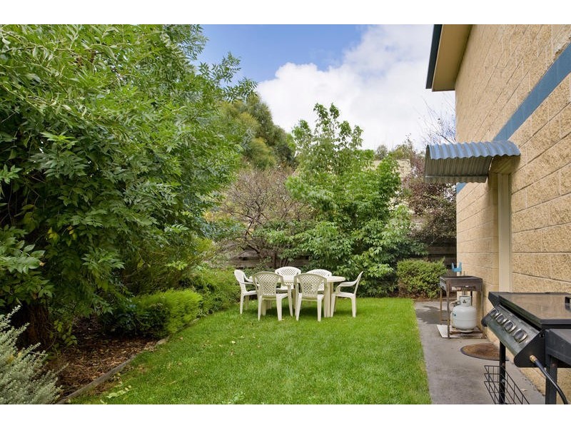 1/17 Pascoe Street, Apollo Bay VIC 3233