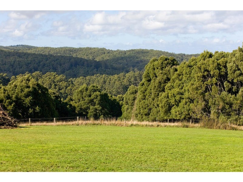 380 Aire Settlement Road, Johanna VIC 3238