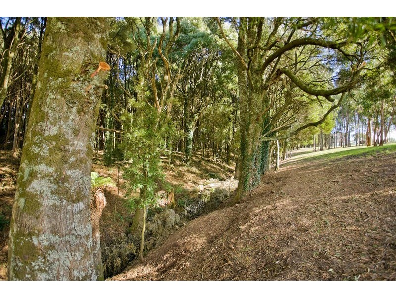 380 Aire Settlement Road, Johanna VIC 3238