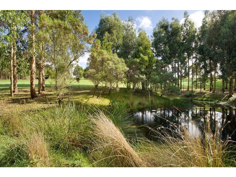 380 Aire Settlement Road, Johanna VIC 3238