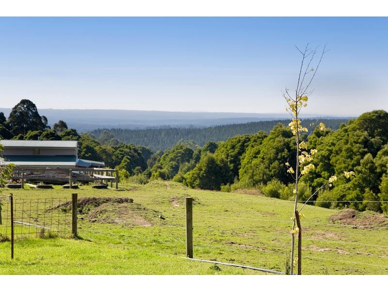 90 Old Colac Road, Beech Forest VIC 3237