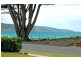 197 Great Ocean Road, Apollo Bay VIC 3233