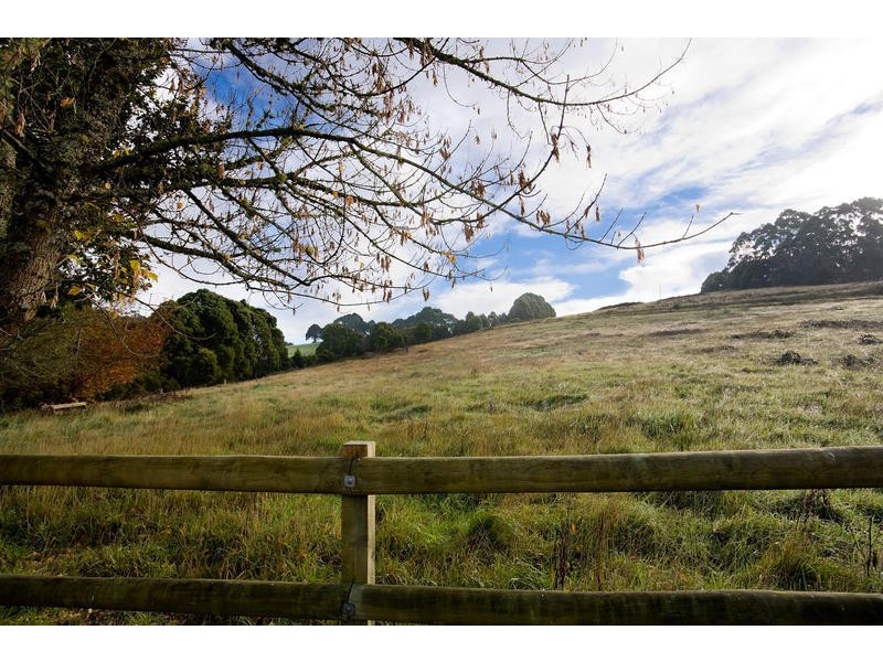 790 Denherts Track, Beech Forest VIC 3237