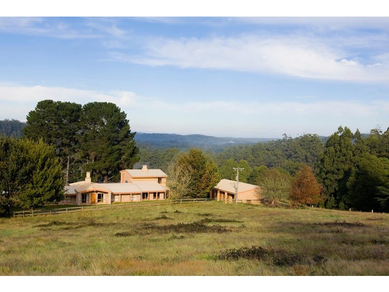 790 Denherts Track, Beech Forest VIC 3237