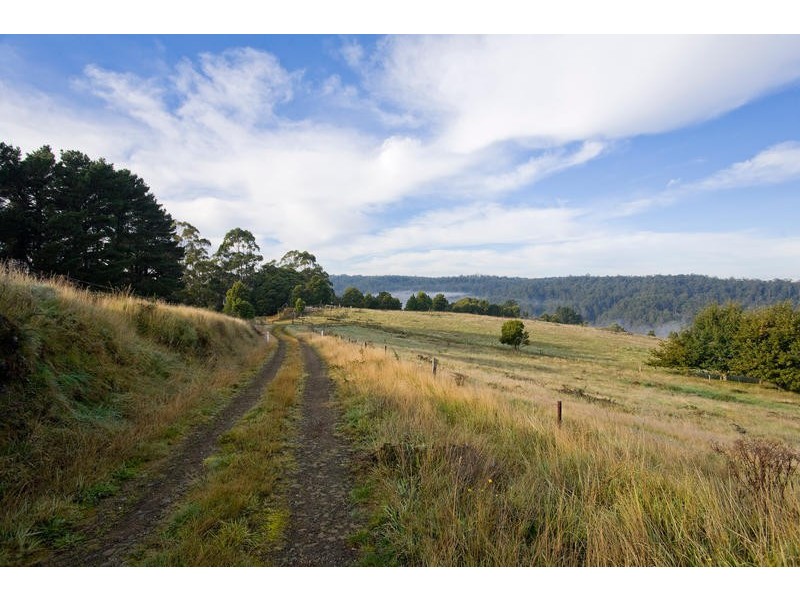 790 Denherts Track, Beech Forest VIC 3237