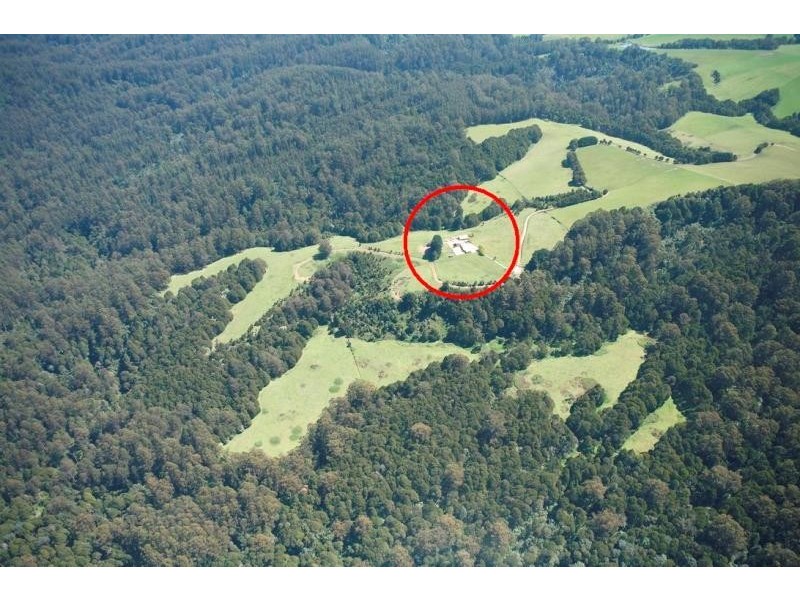 790 Denherts Track, Beech Forest VIC 3237