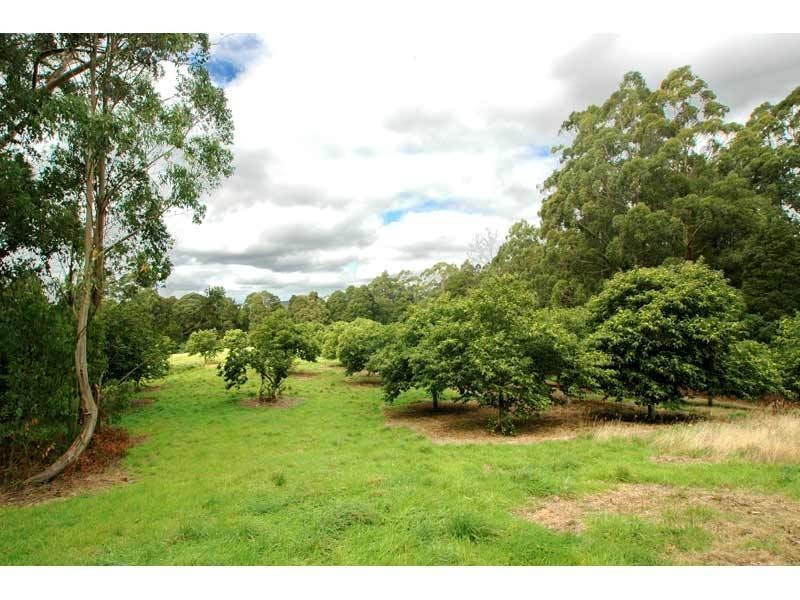 4275 Colac-Lavers Hill Road, Beech Forest VIC 3237