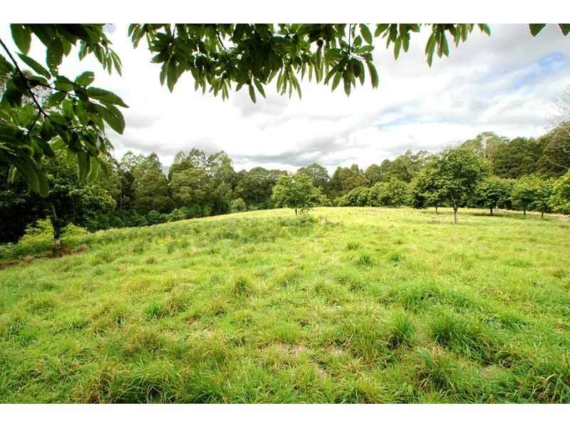 4275 Colac-Lavers Hill Road, Beech Forest VIC 3237