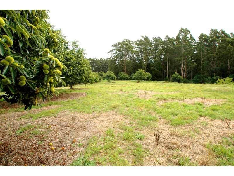 4275 Colac-Lavers Hill Road, Beech Forest VIC 3237