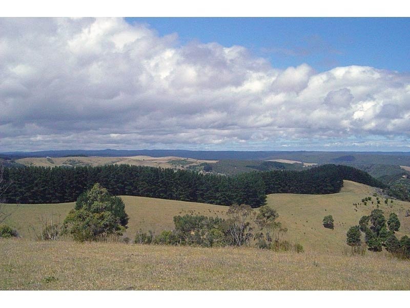 55 Old Coach Road, Yuulong VIC 3237