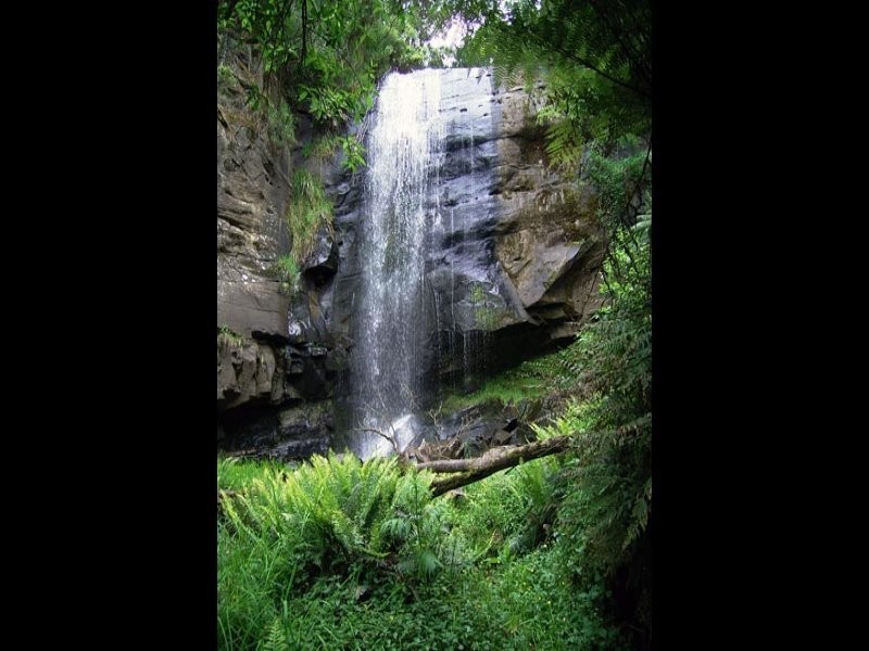 55 Old Coach Road, Yuulong VIC 3237