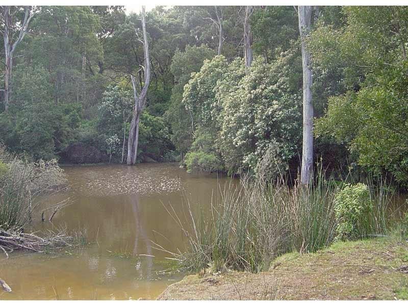 55 Old Coach Road, Yuulong VIC 3237