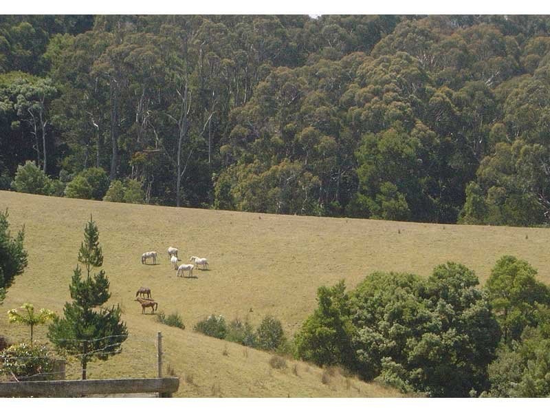 55 Old Coach Road, Yuulong VIC 3237