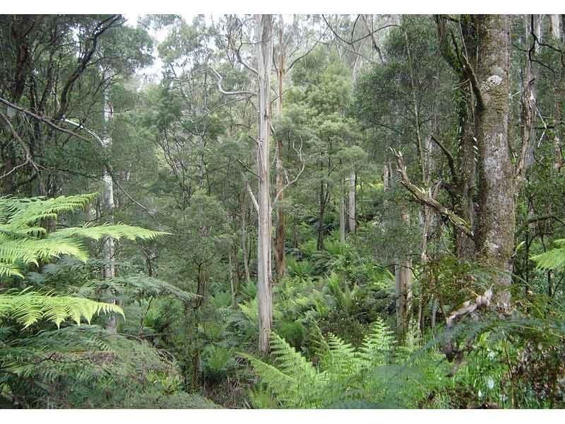 55 Old Coach Road, Yuulong VIC 3237